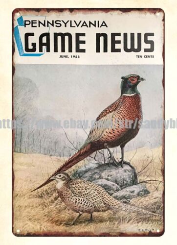 Hunting Quail - 1958 polowanie na przepiórki i bażanty,